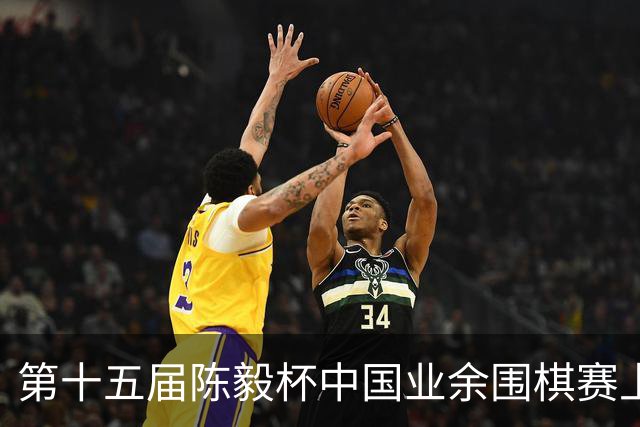 第十五届陈毅杯中国业余围棋赛上海开幕